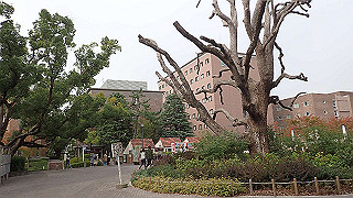pb030070_thumb.jpg