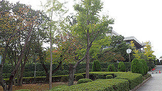 pb030099_thumb.jpg