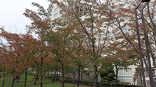 pb030100_thumb.jpg