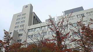 pb030101_thumb.jpg