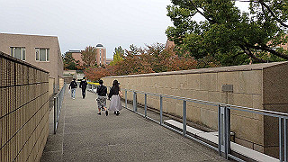 pb030110_thumb.jpg