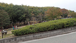 pb030154_thumb.jpg