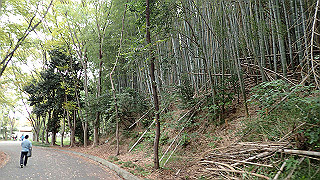 pb030156_thumb.jpg