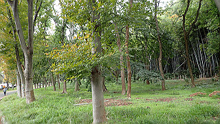pb030157_thumb.jpg