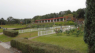 pb030164_thumb.jpg