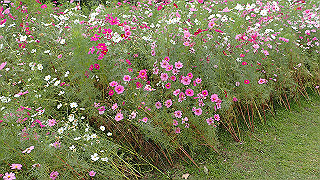 pb030168_thumb.jpg