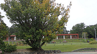 pb030170_thumb.jpg