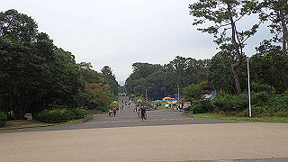 pb030171_thumb.jpg