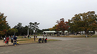 pb030173_thumb.jpg