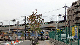 pb030188_thumb.jpg