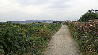 pb030194_thumb.jpg