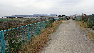 pb030195_thumb.jpg