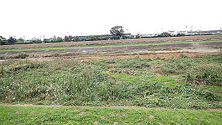 pb030212_thumb.jpg