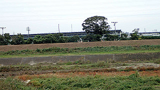 pb030213_thumb.jpg
