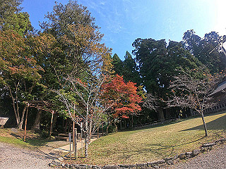 gopr0158_thumb.jpg