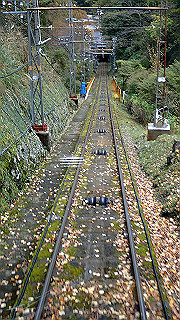 pb080050_thumb.jpg