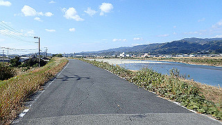 pb080109_thumb.jpg