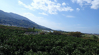 pb080112_thumb.jpg