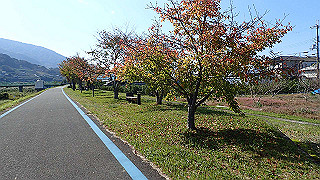 pb080119_thumb.jpg
