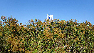 pb080143_thumb.jpg
