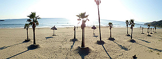 pb080224_thumb.jpg