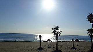 pb080225_thumb.jpg
