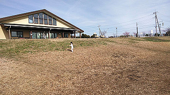 20200219_044909000_ios_thumb.jpg
