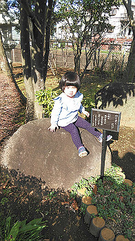 20200311_055402000_ios_thumb.jpg