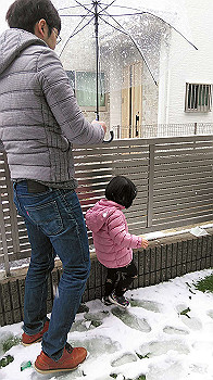 20200329_040650000_ios_thumb.jpg