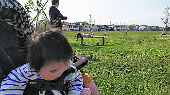 20200430_052109000_ios_thumb.jpg