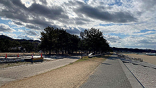 20200109_042142890_ios_thumb.jpg