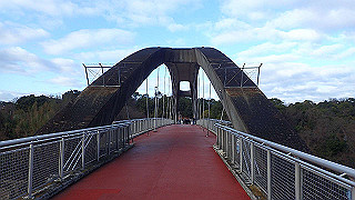 p1090005_thumb.jpg