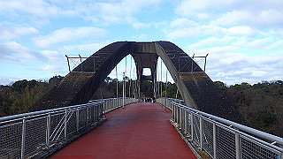 p1090006_thumb.jpg