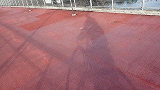 p1090011_thumb.jpg