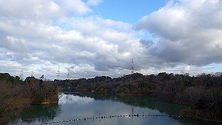p1090013_thumb.jpg