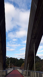 p1090014_thumb.jpg