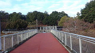 p1090015_thumb.jpg