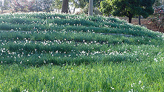 p1090025_thumb.jpg