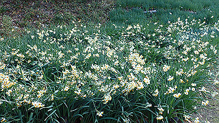 p1090026_thumb.jpg