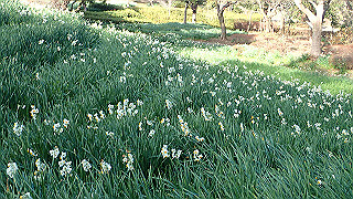 p1090027_thumb.jpg
