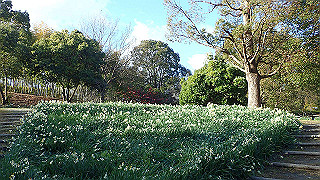 p1090028_thumb.jpg