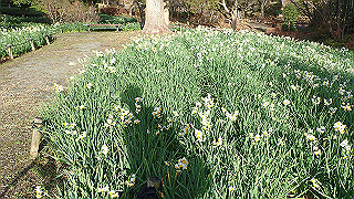 p1090029_thumb.jpg