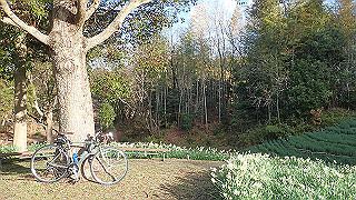 p1090032_thumb.jpg