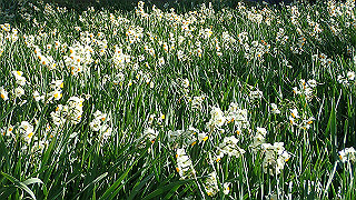 p1090033_thumb.jpg