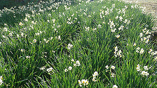 p1090034_thumb.jpg
