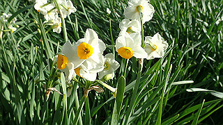 p1090035_thumb.jpg