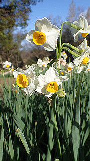 p1090037_thumb.jpg