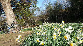 p1090038_thumb.jpg