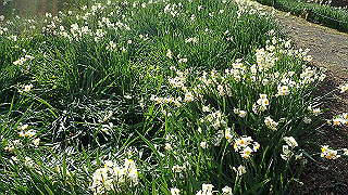 p1090039_thumb.jpg