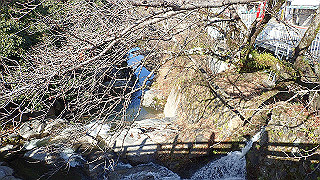 p1090052_thumb.jpg